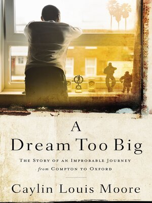 cover image of A Dream Too Big